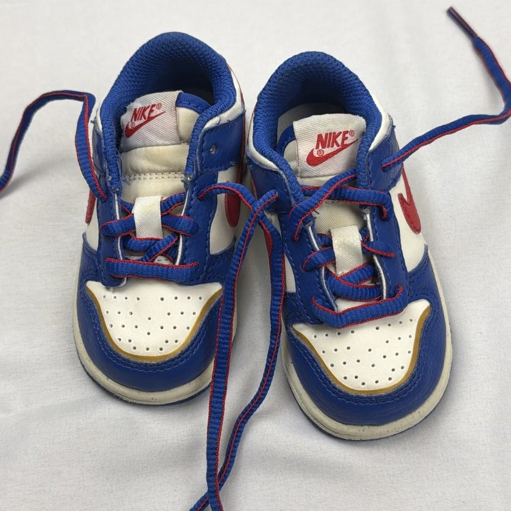 Nike Dunk Next Nature Superhero Toddler Boys Sneakers Shoes FD0675-400 SZ 5 C
